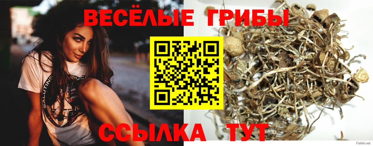 Хабаровск  Псилоцибиновые грибы Psilocybe  Вход с VPN 